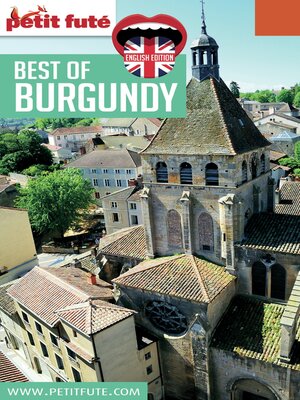 cover image of BEST OF BURGUNDY 2016/2017 Petit Futé